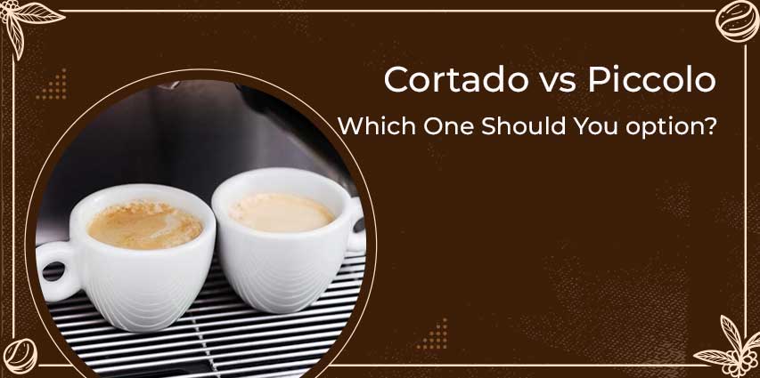 Cortado vs Piccolo
