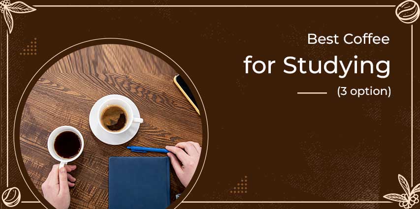 Best Coffee for Studying