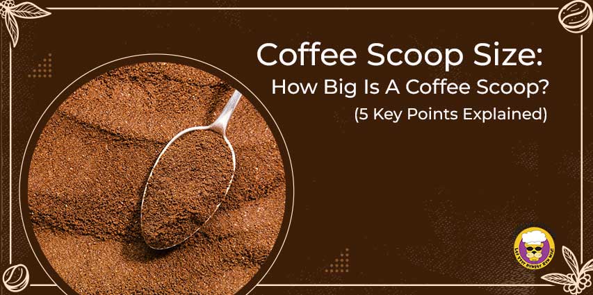 Coffee Scoop Size