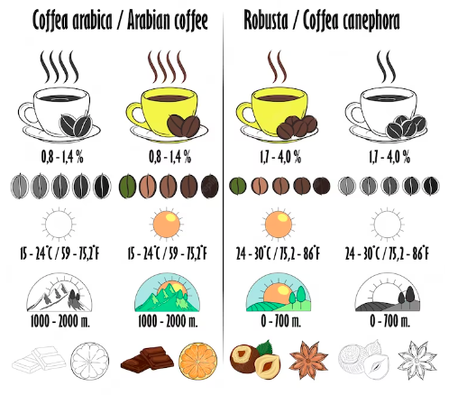 How many scoops of coffee for 12 cups?
