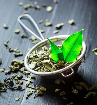 Benefits of Oolong Tea