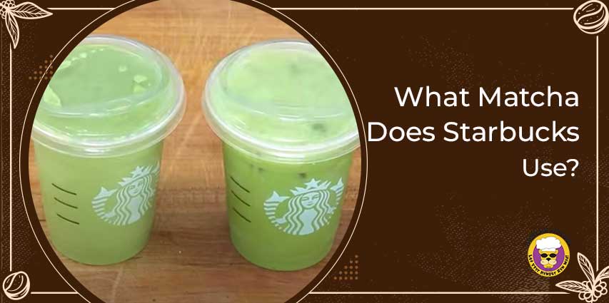 What Matcha Does Starbucks Use?