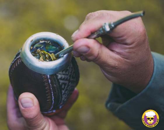 Yerba Mate vs Coffee
