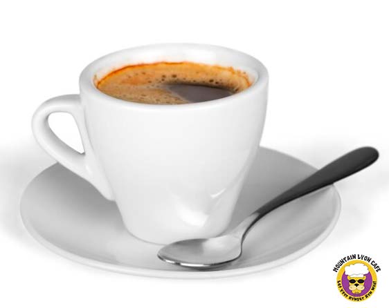 Yerba Mate vs Coffee