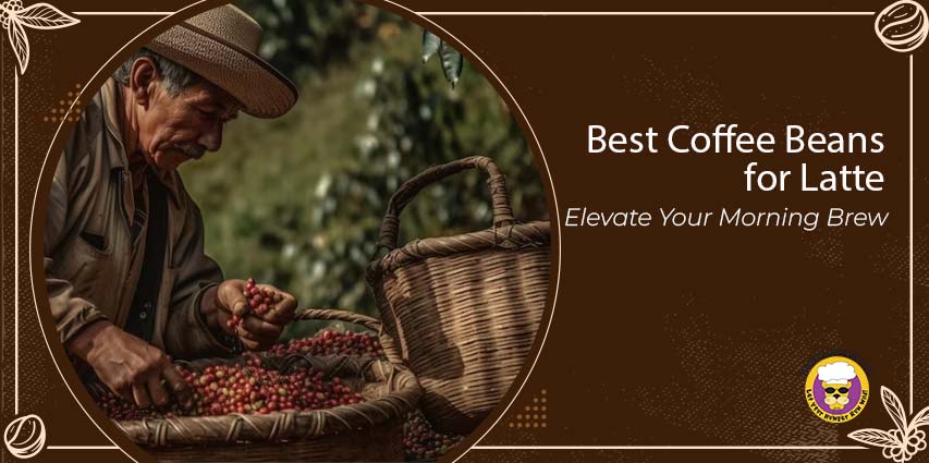 Best Coffee Beans for Latte