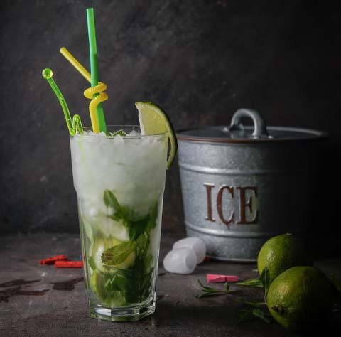 National Mojito Day