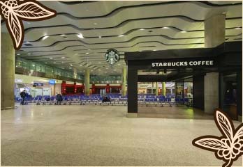 Starbucks Coffee Traveler