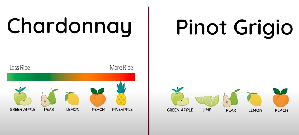 Pinot Grigio vs Chardonnay