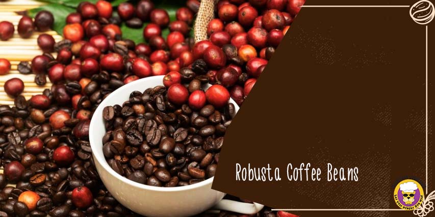 Robusta Coffee