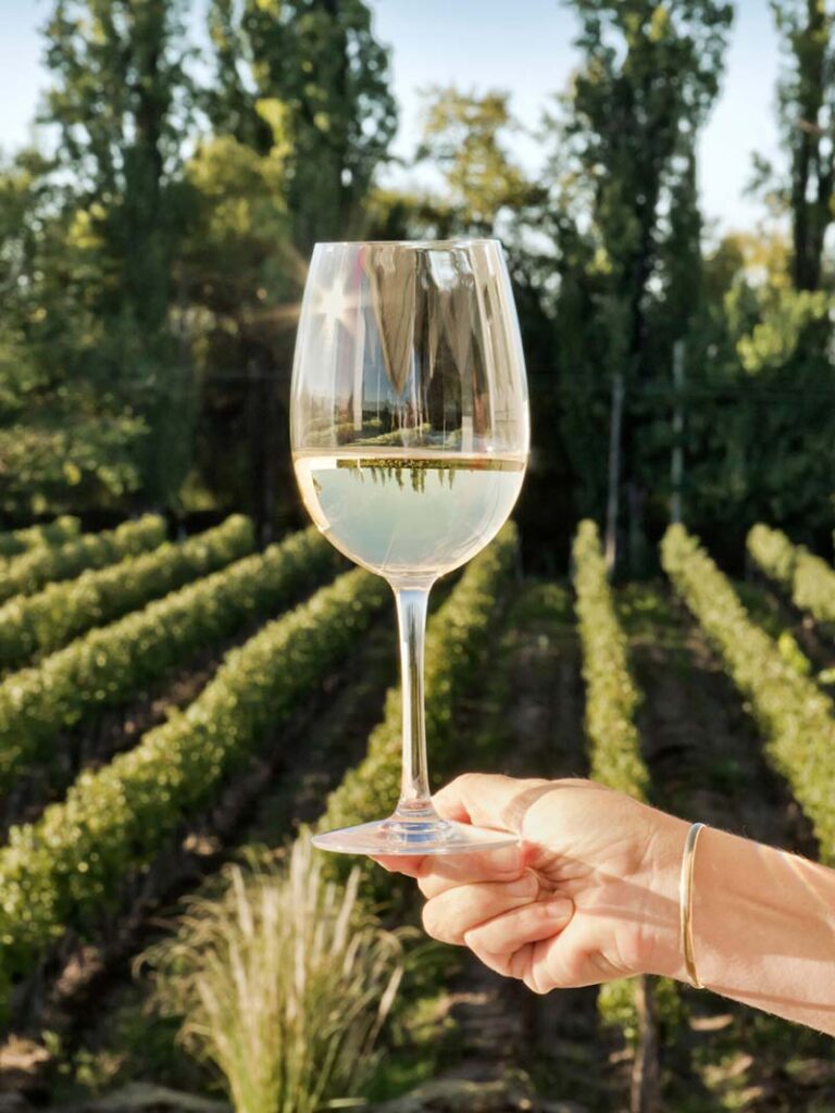 Sauvignon-Blanc-vs-Pinot-Grigio