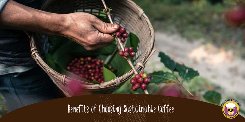 Benefits of Choosing Sustainable Coffee