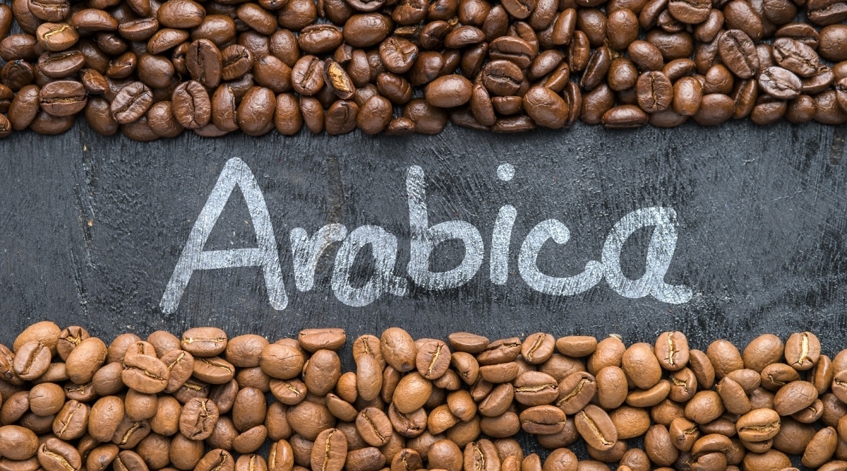 Best Arabica Coffee Beans for Home Brewing